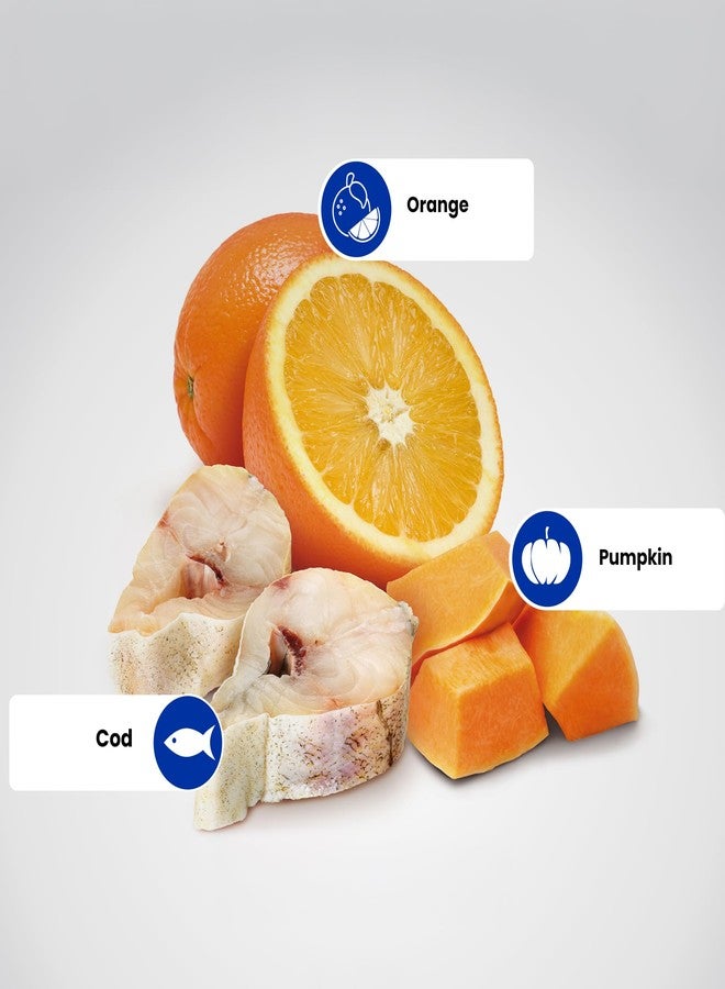 Farmina N&D Ocean Adult Mini Dog Food | Codfish & Orange | Supports Overall Health | Complete Food for Adult Dogs | 0.8kg | No Artificial Preservatives - Image 4